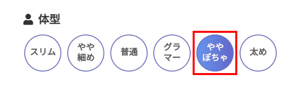 体型の項目でややぽちゃを選択